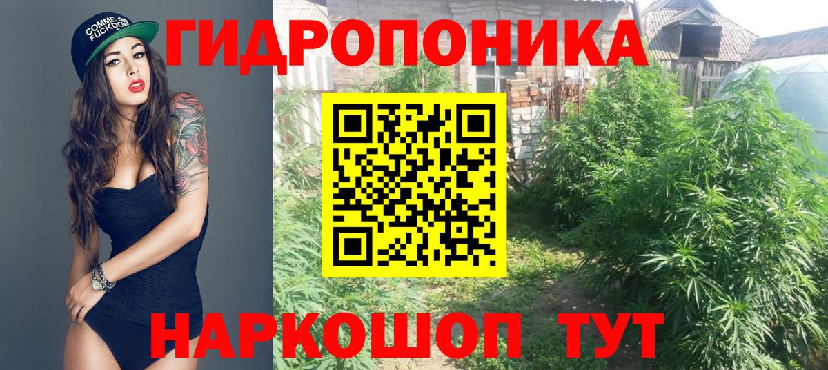 Канабис марихуана Сухой Лог
